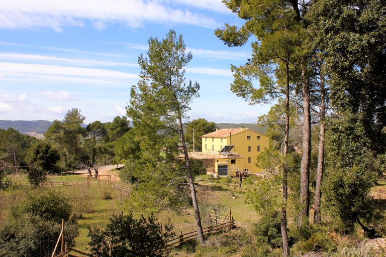 The natural setting around the retreat house near Barcelona